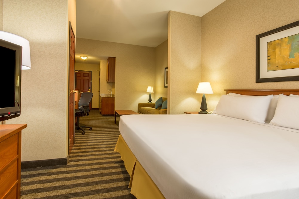 Suite, 1 King Bed - Photo 3