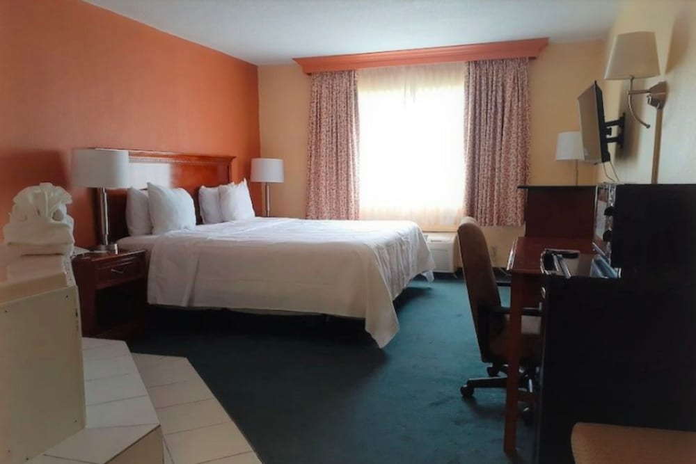Room, 1 King Bed, Non Smoking - Photo 3