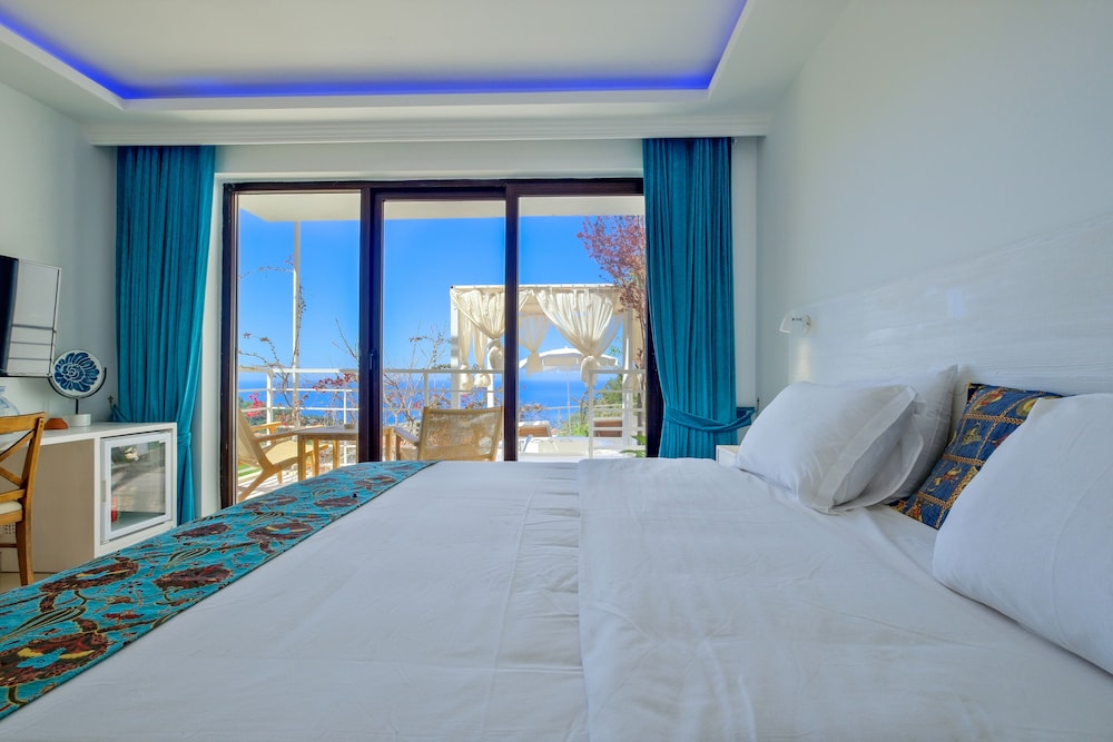 Executive Suite - Photo 17