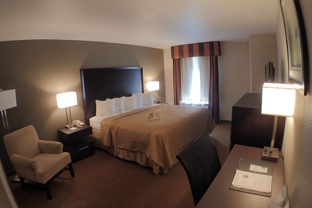 Standard Room, 1 King Bed, Non Smoking photo 3
