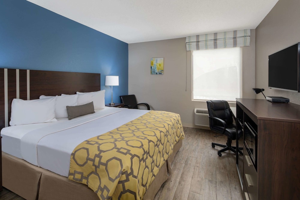Room, 1 King Bed, Non Smoking - Photo 4