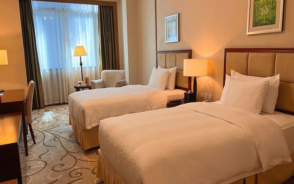 Superior  City View Twin Room photo 1