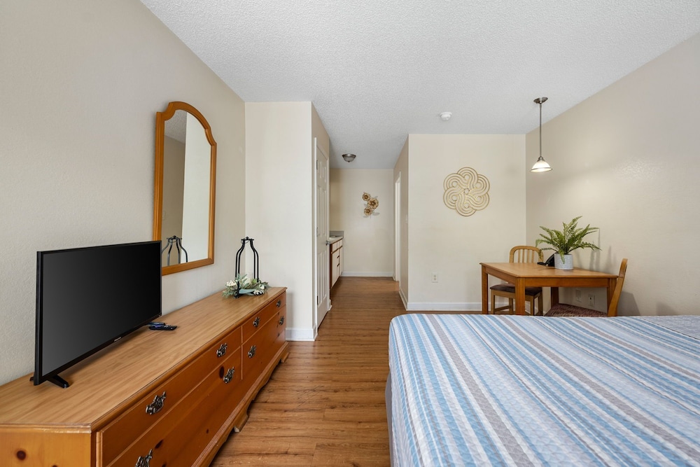 Studio (Room Full Bed) photo 3
