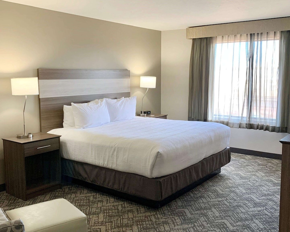 Standard Room, 1 King Bed, Accessible, Non Smoking photo 1