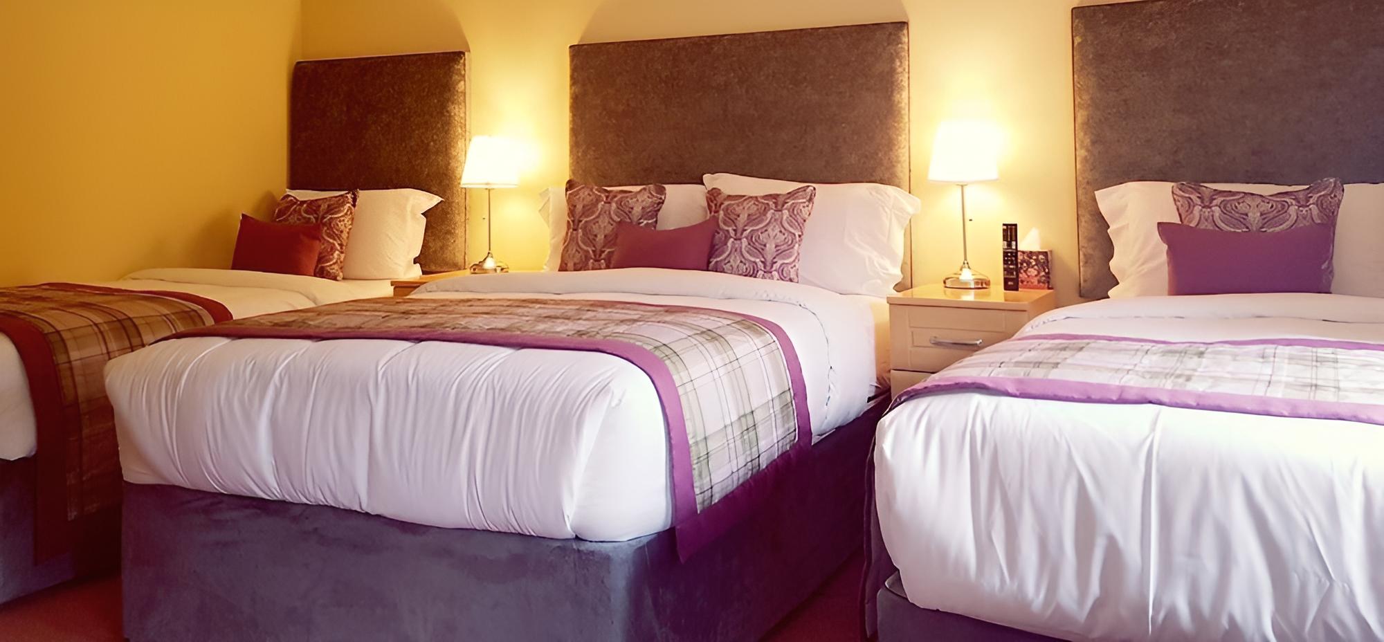 Classic Suite, Ensuite, Garden View photo 2
