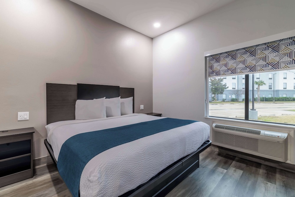 Deluxe Room, 1 King Bed, Non Smoking, Refrigerator & Microwave photo 1