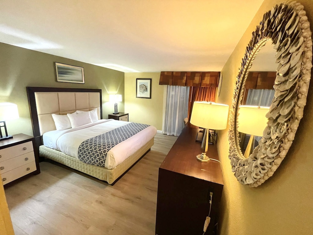 Standard Room, 1 King Bed, Non Smoking photo 1