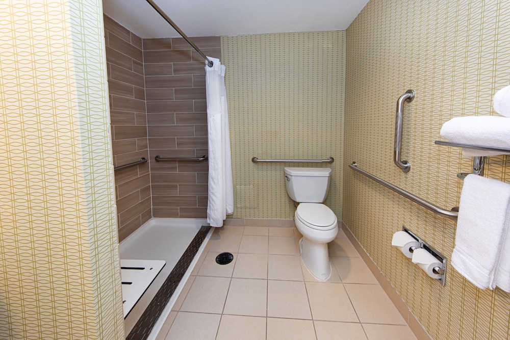 Room, 1 King Bed, Mobility Accessible (Communications, Roll-In Shower) photo 1