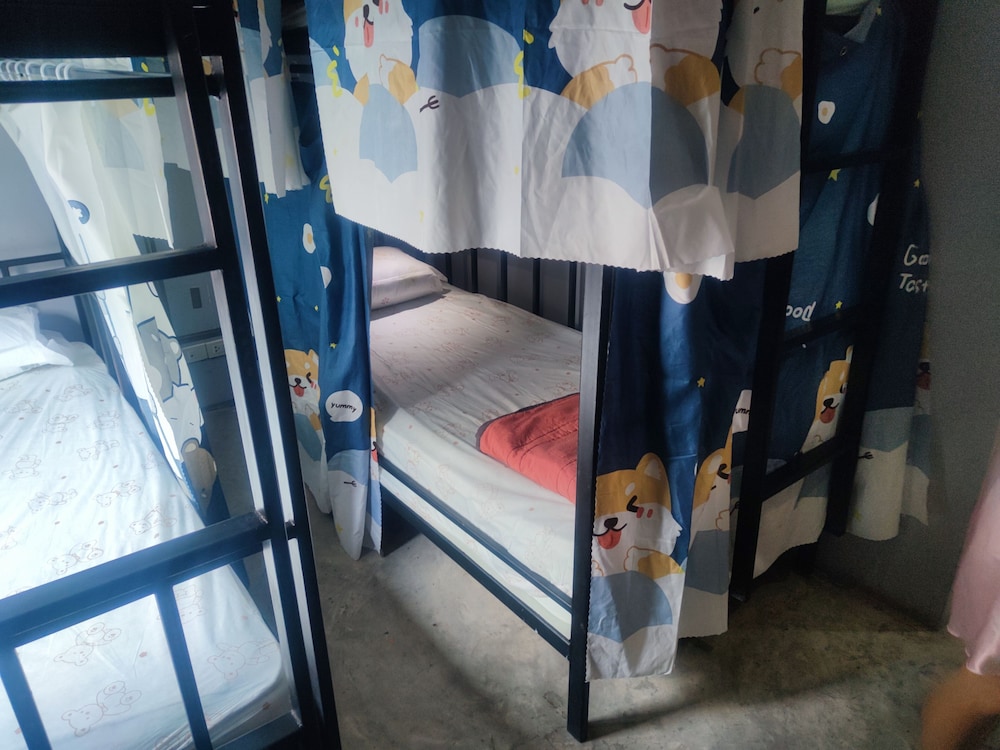 Standard Shared Dormitory, Women only, Non Smoking photo 1
