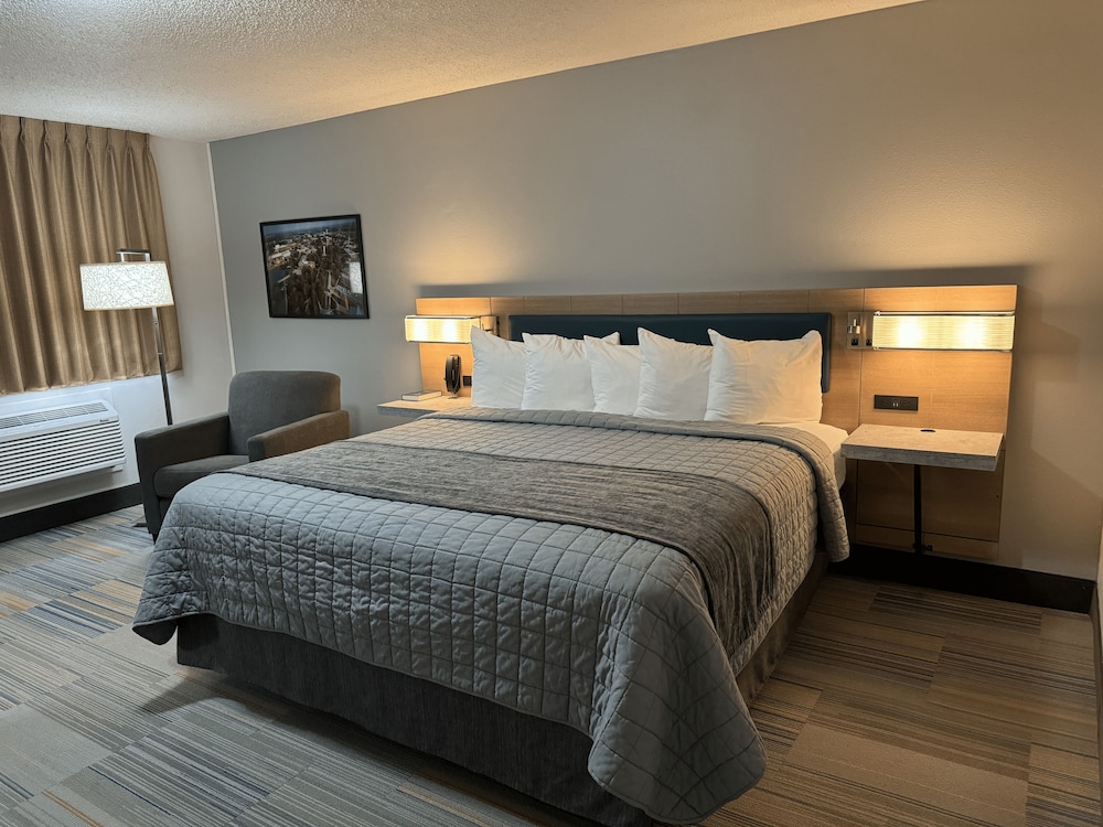 Standard Single Room - Photo 1