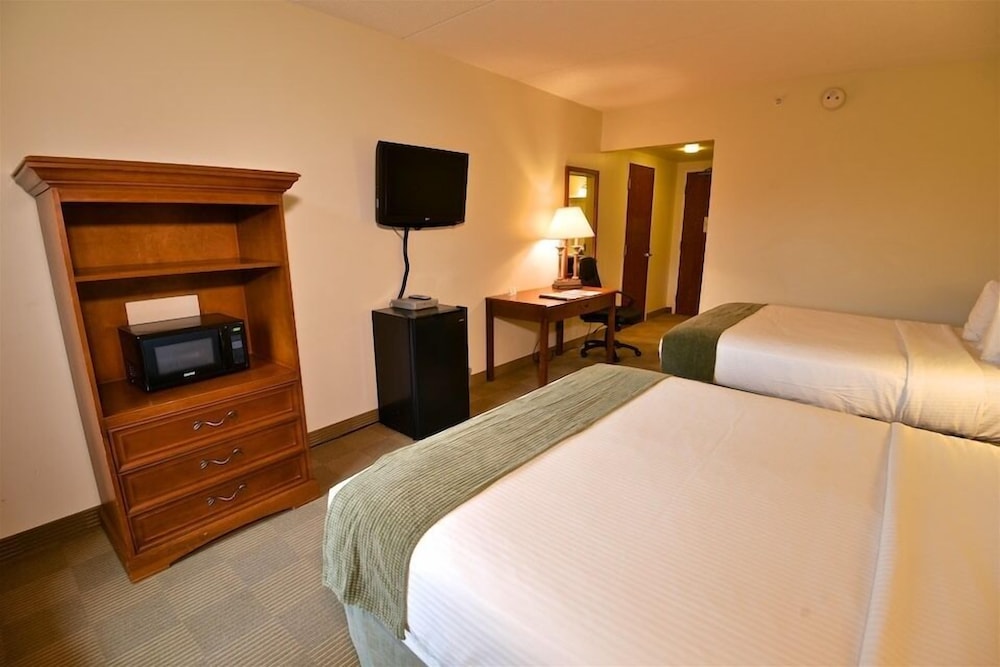 Single Room, 2 Queen Beds photo 1
