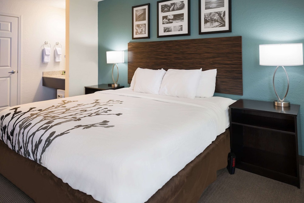 Room, 1 Queen Bed, Accessible, Non Smoking photo 3