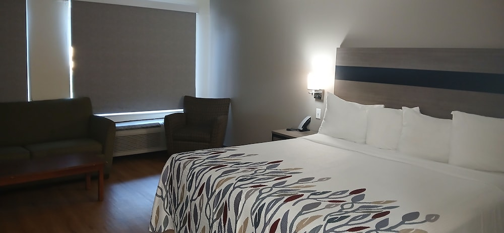 Suite, 1 King Bed, Non Smoking photo 3