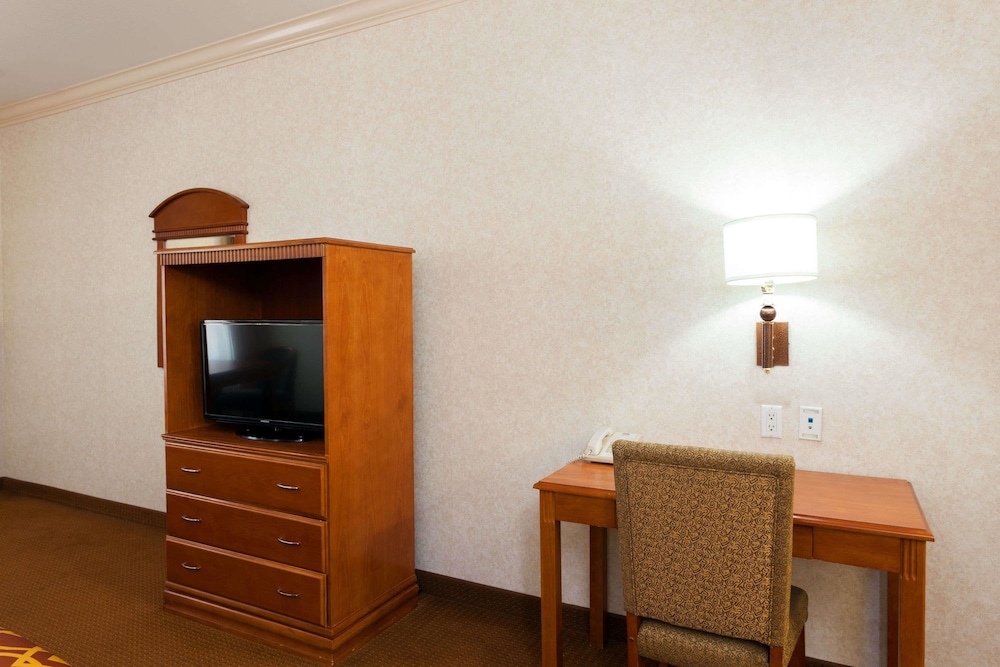 Suite, 1 Queen Bed, Smoking - Photo 7