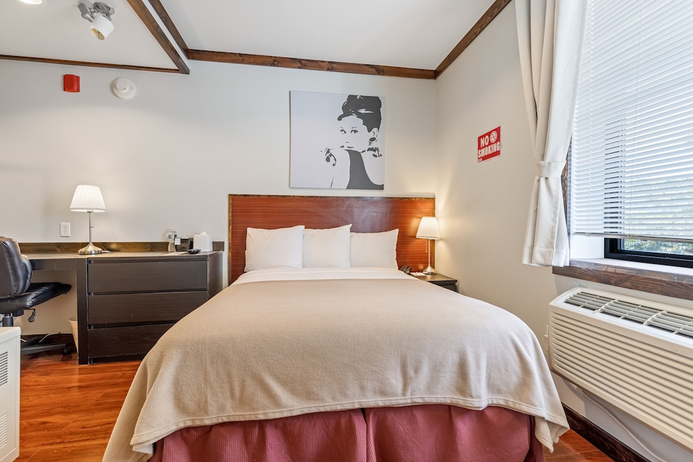 Room, 1 Full Bed photo 1