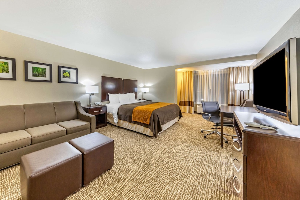 Suite, Non Smoking, Refrigerator