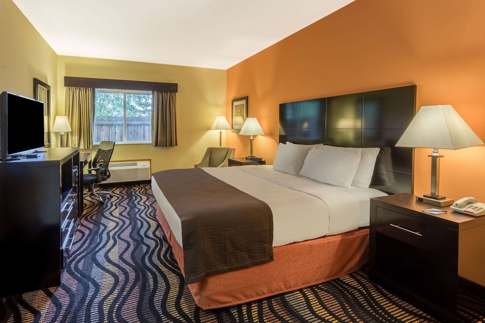 Room, 1 King Bed, Non Smoking photo 2