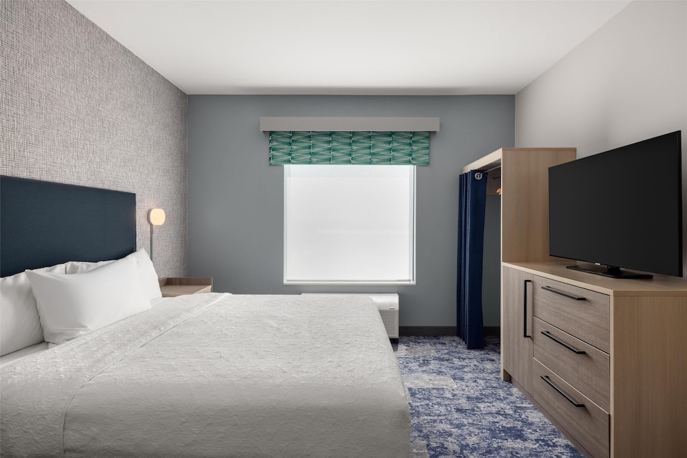 Suite, 1 King Bed, Accessible (Roll-In Shower)