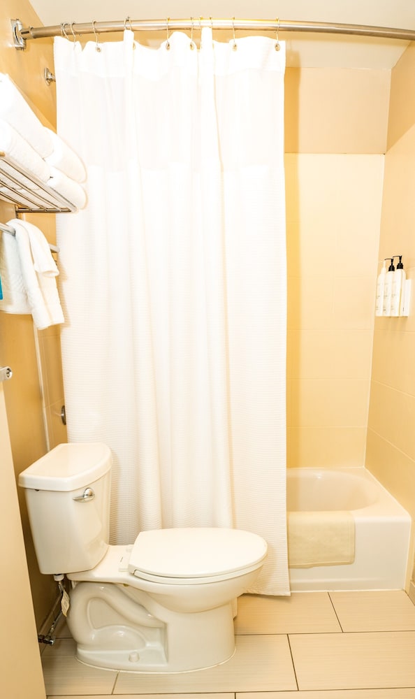 Suite, Multiple Beds - Photo 5