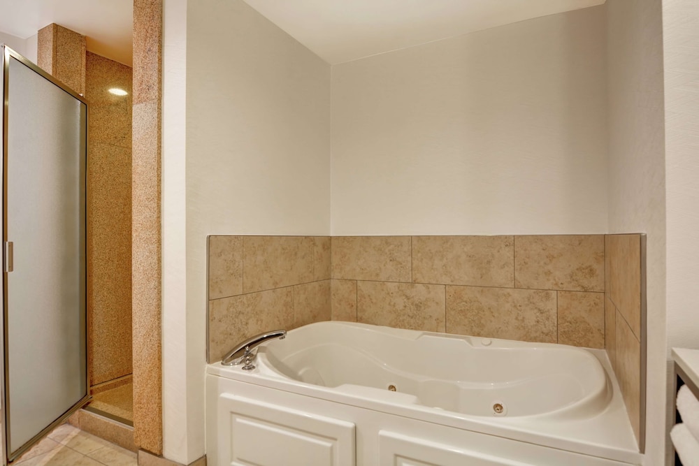 Suite - Photo 4