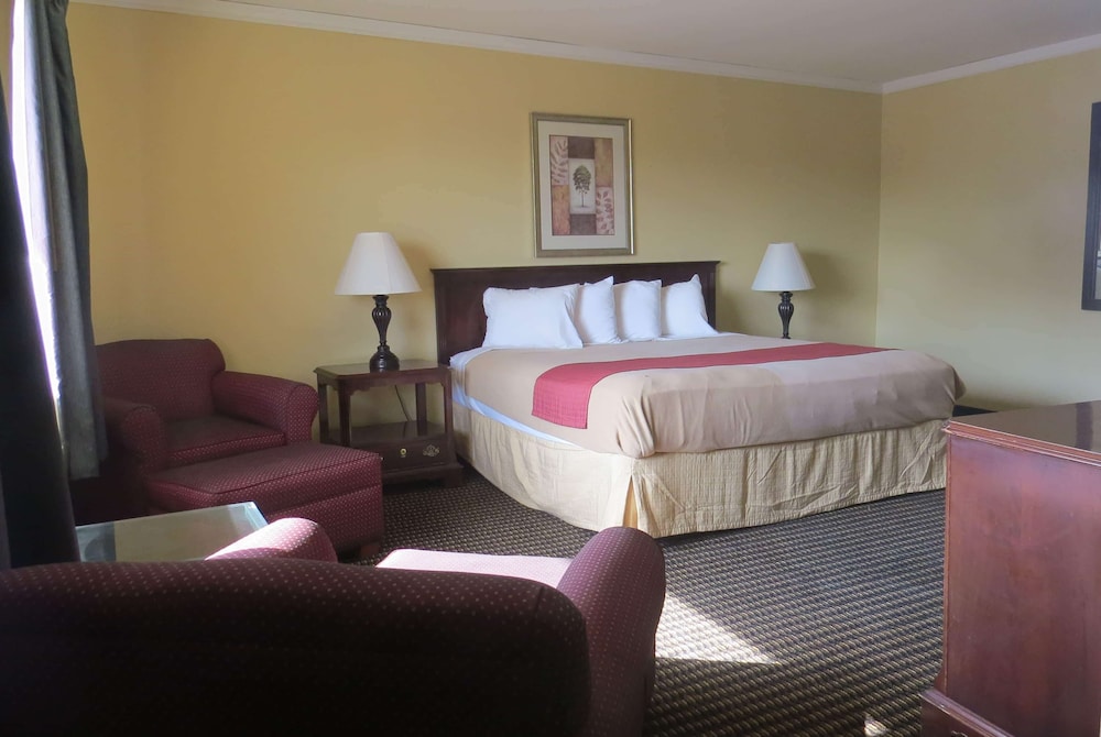 Room, 1 King Bed, Non Smoking - Photo 1
