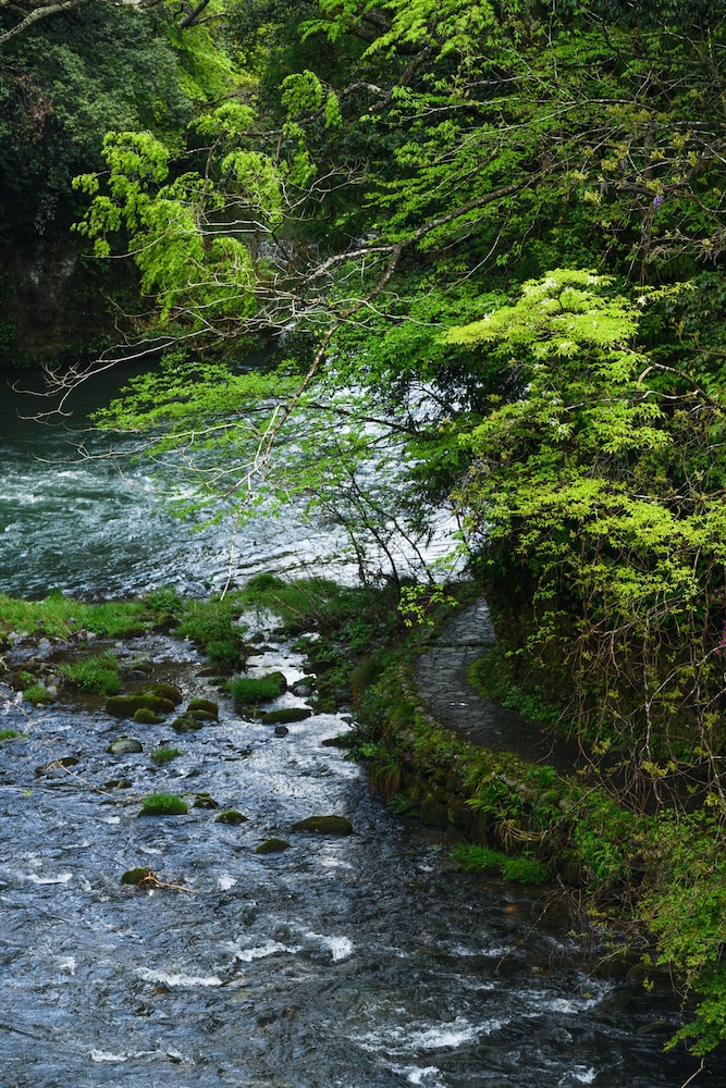Special Room with In-Room Dining, Open-Air Bath and Mountain Stream View - New as of 2023 photo 3