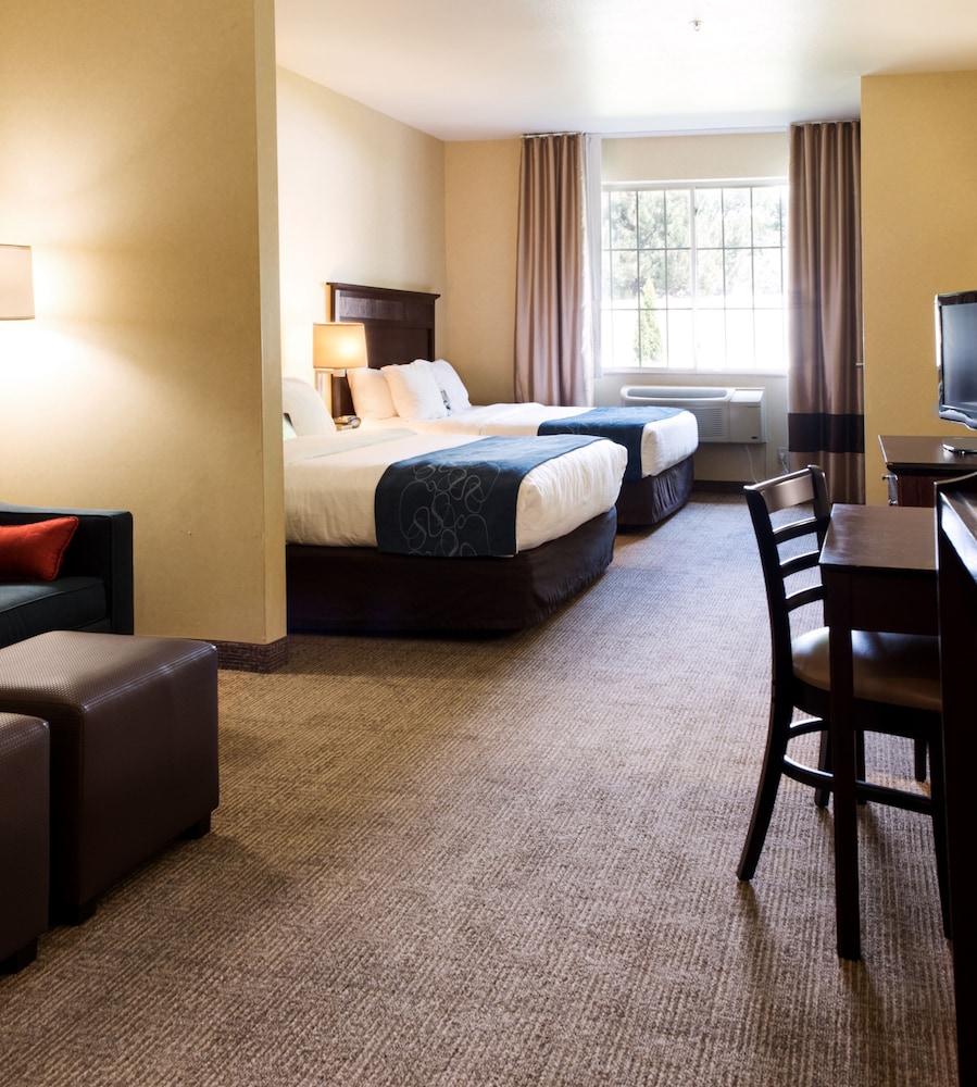 Room, Multiple Beds, Non Smoking photo 3