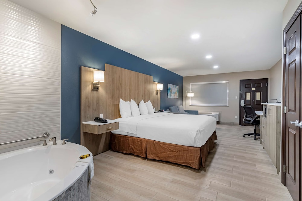 Junior Suite, 1 King Bed, Non Smoking, Jetted Tub (with Single Sofabed)