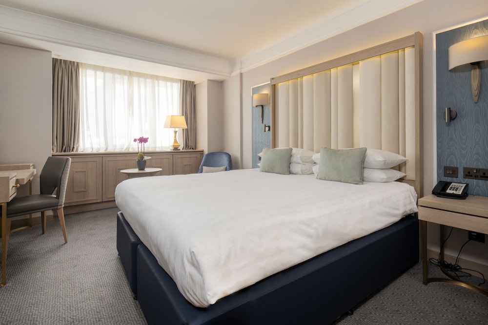 Deluxe Room (King) photo 1