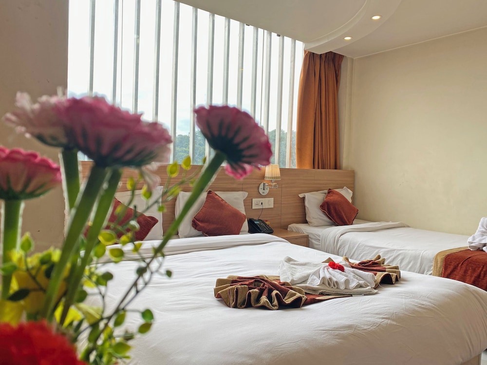 Deluxe Double or Twin Room, Mountain View
