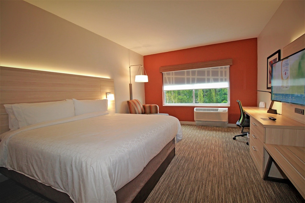 Standard Room, 1 King Bed, Accessible (Communications, Mobility) photo 2