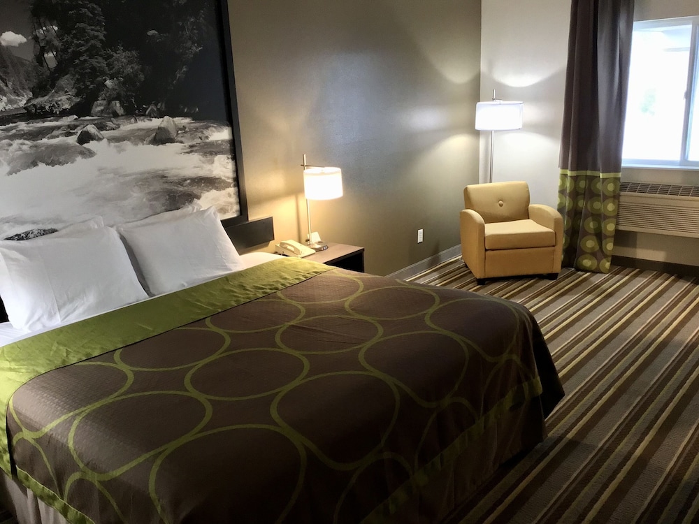 Room, 1 Queen Bed, Accessible Room, Non-Smoking, Refrigerator & Microwave - Photo 5