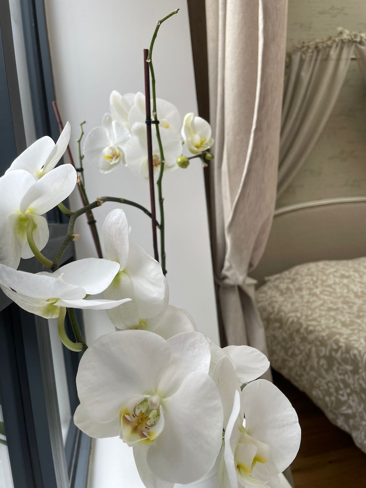 Exclusive Quadruple Room, Private Bathroom, Garden View (Florentine ) - Photo 9