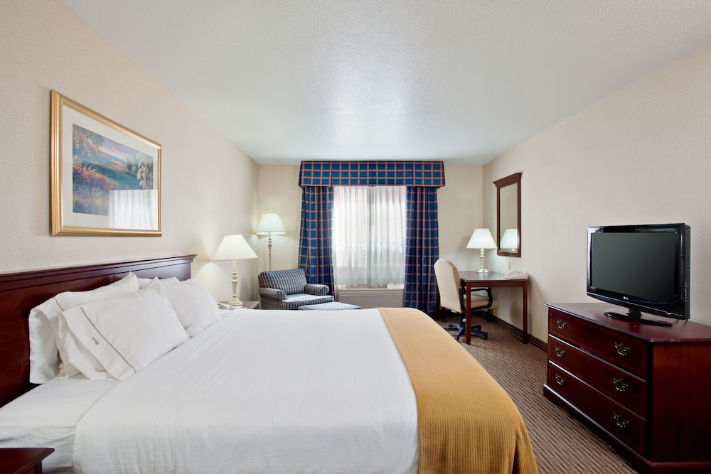 Suite, 1 King Bed - Photo 1
