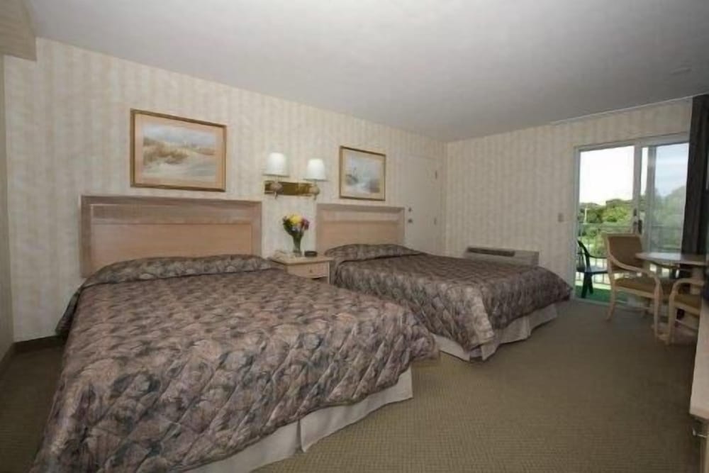 Standard Room, 2 Double Beds