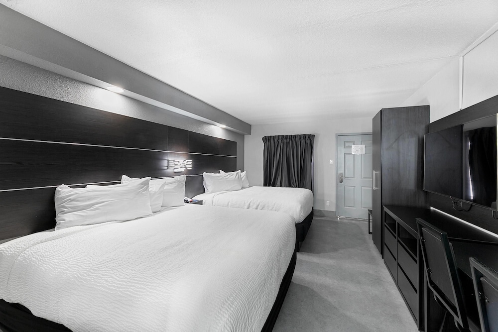 Suite, Multiple Beds, Non Smoking - Photo 3