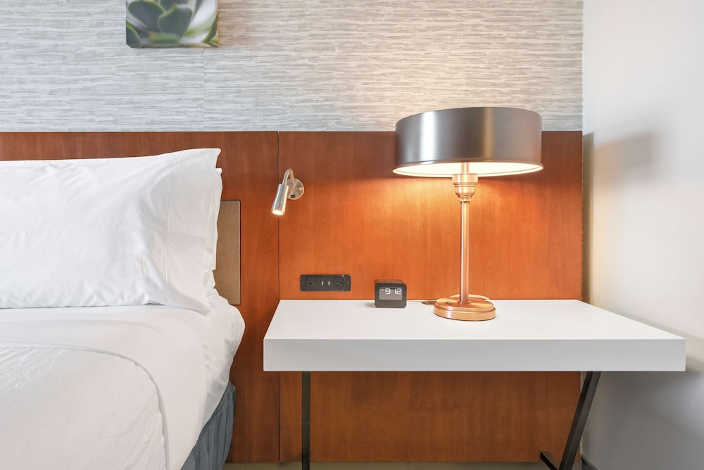 Room, 1 King Bed, Accessible, Bathtub - Photo 4
