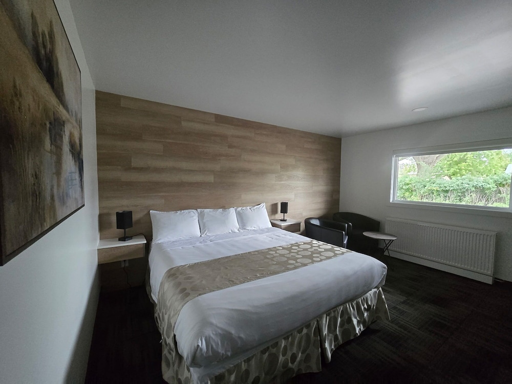 Comfort Single Room, 1 King Bed photo 1