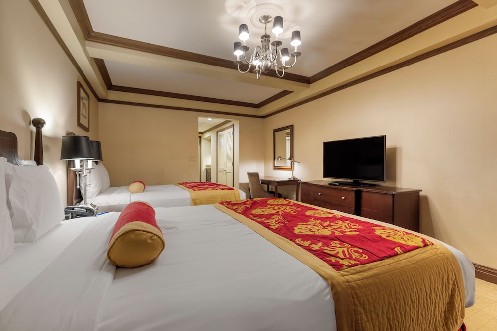 Standard Quadruple Room photo 3
