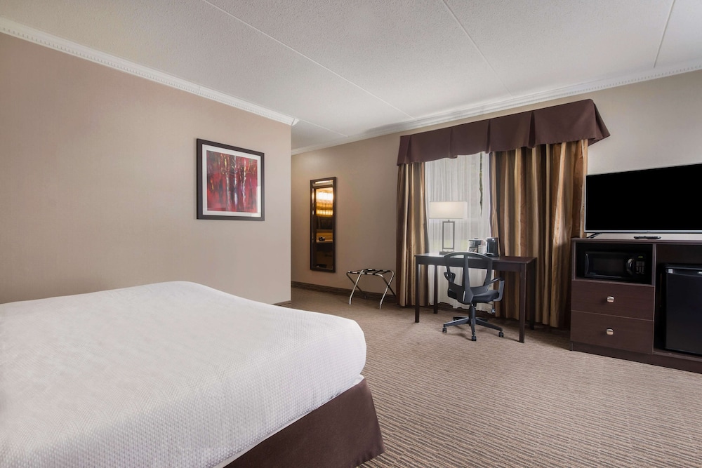 Standard Room, 1 King Bed, Non Smoking, Jetted Tub (with Sofabed) photo 3