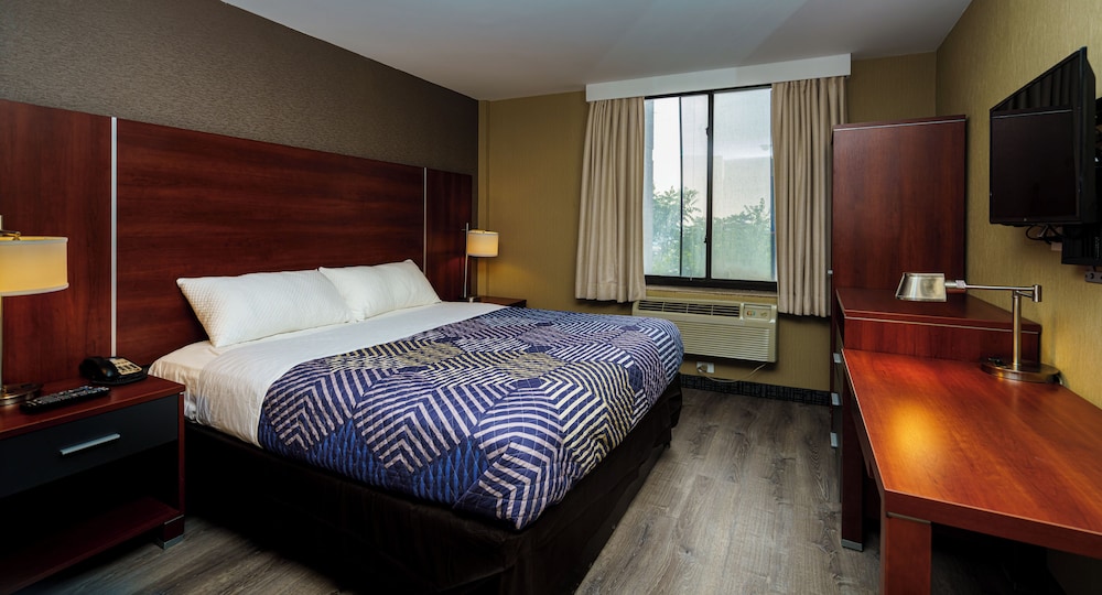 Business Suite photo 1