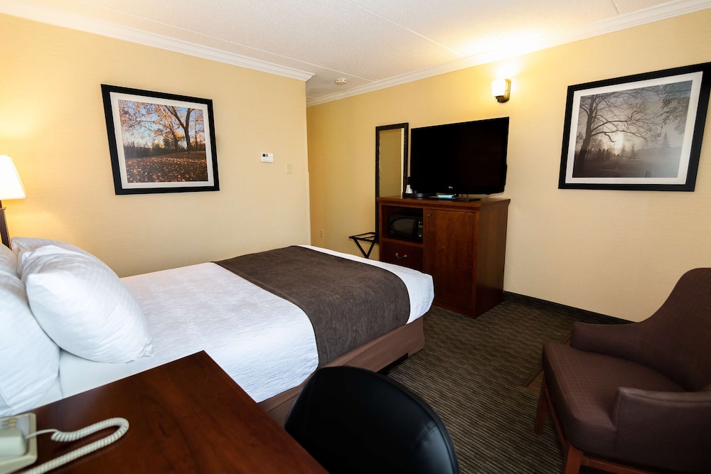 Standard Room, 1 Double Bed, Non Smoking, Refrigerator & Microwave photo 3