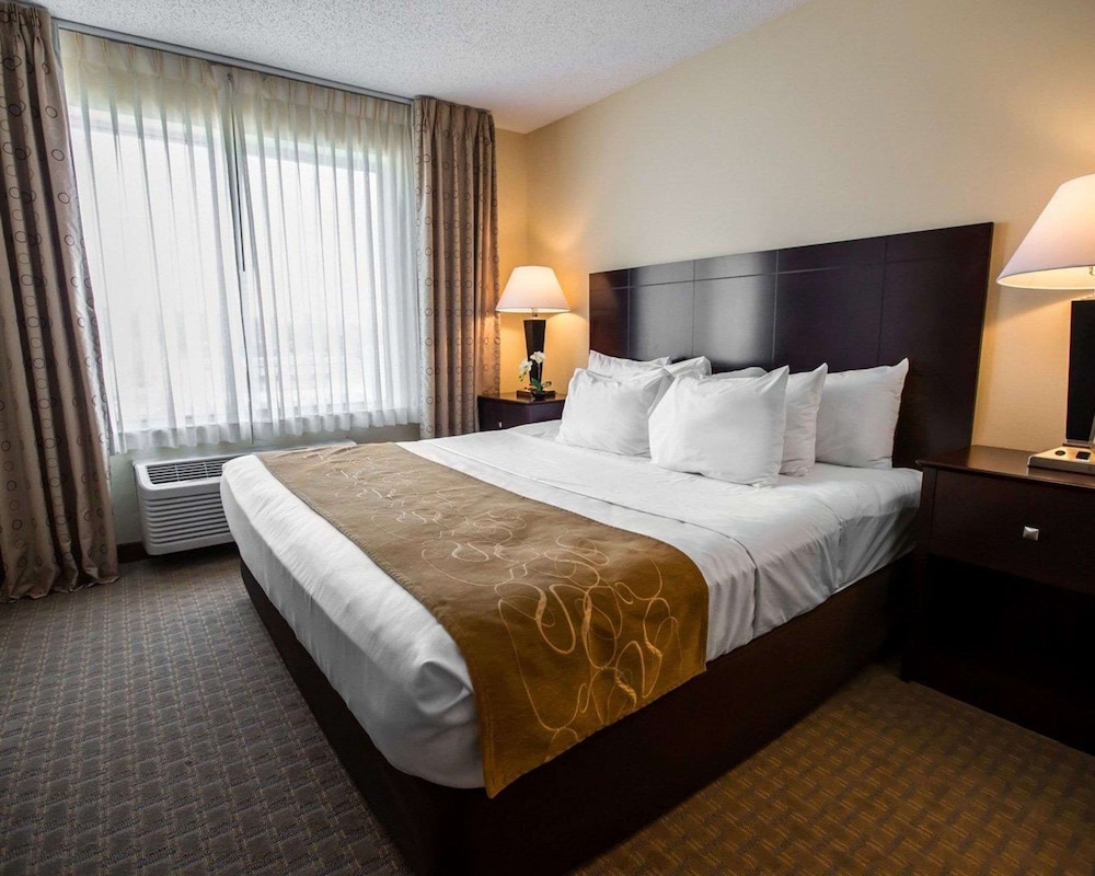 Suite, 1 King Bed with Sofa bed, Non Smoking (Pet Friendly) - Photo 1