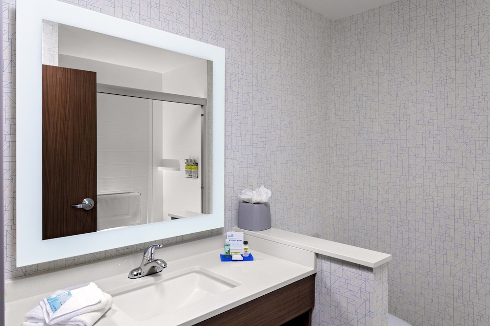 Suite, 1 King Bed, Accessible (Communications) photo 1