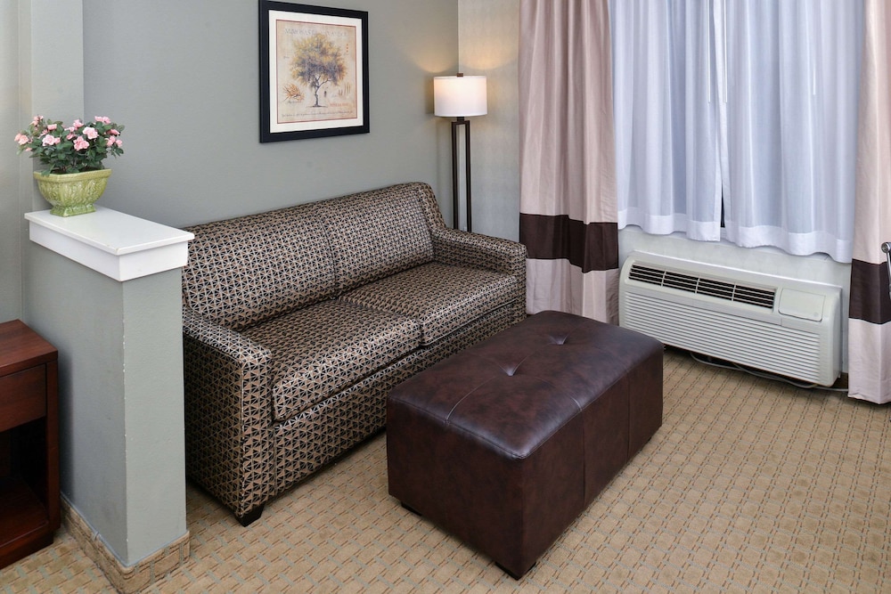 Suite, 1 King Bed with Sofa bed, Non Smoking - Photo 12