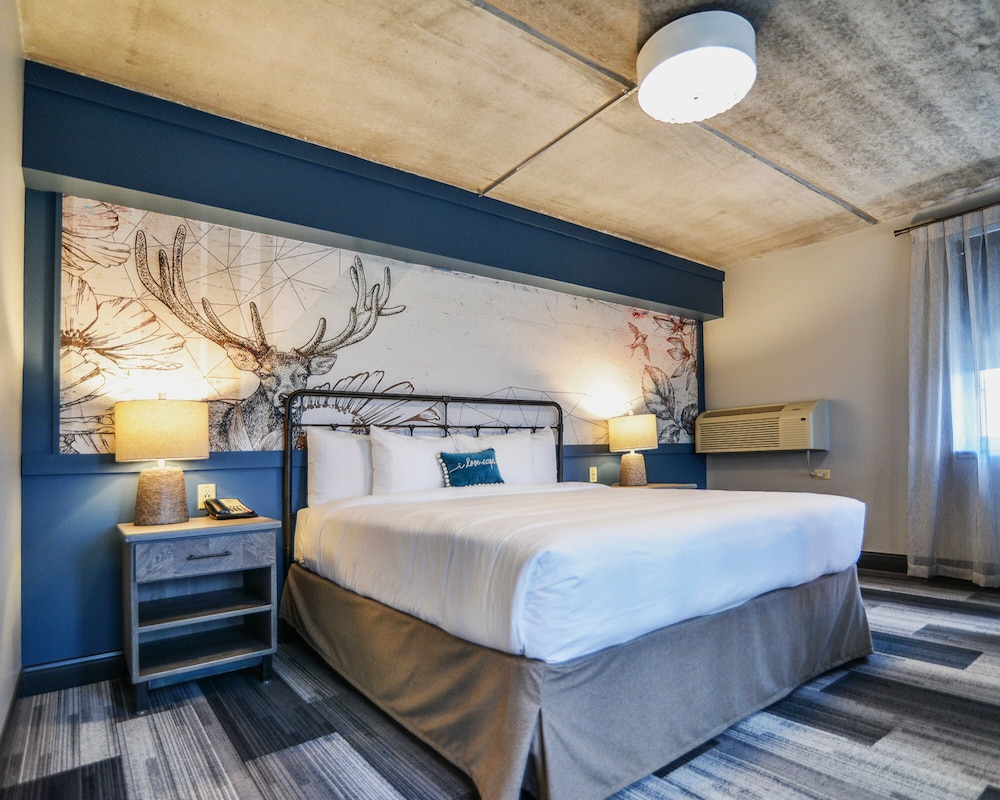 Deluxe Room, 1 King Bed, Non Smoking photo 1