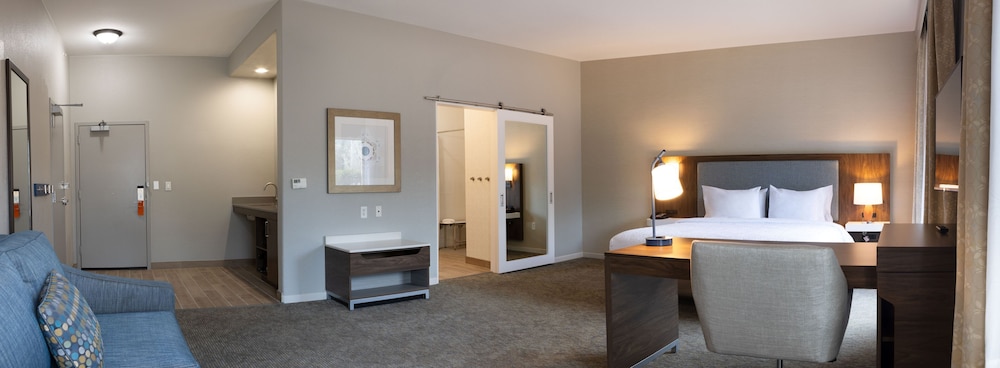 Suite, 1 King Bed, Accessible, Non Smoking (Roll-in Shower) photo 3