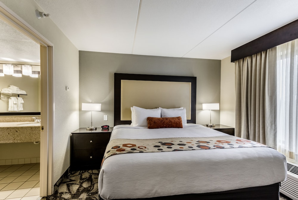 Suite, 1 King Bed with Sofa bed, Accessible Bathtub, Jetted Tub - Photo 7