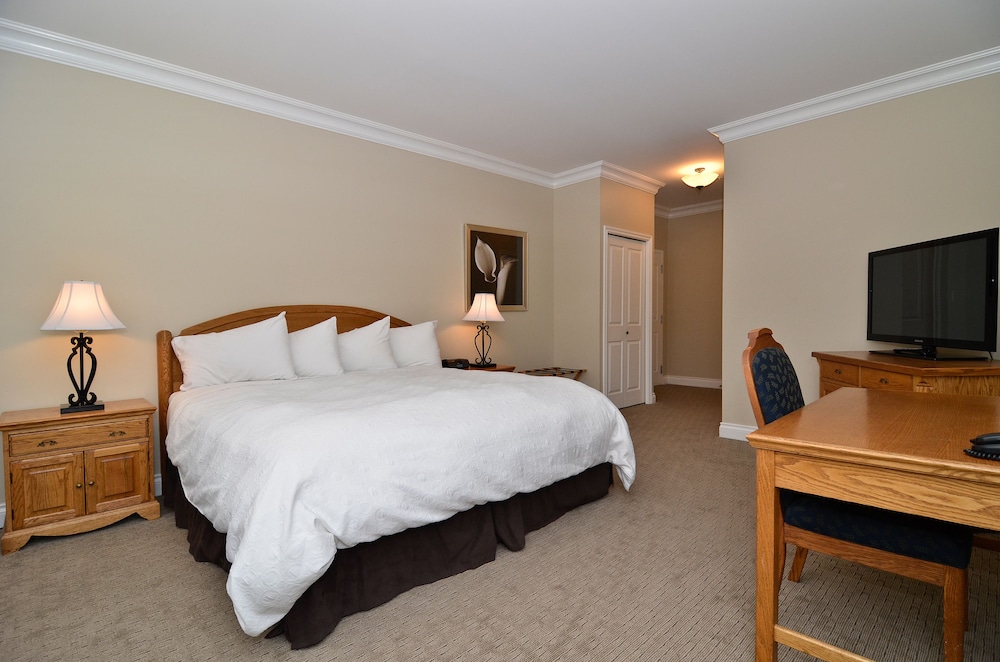 Deluxe Room, 1 King Bed photo 3