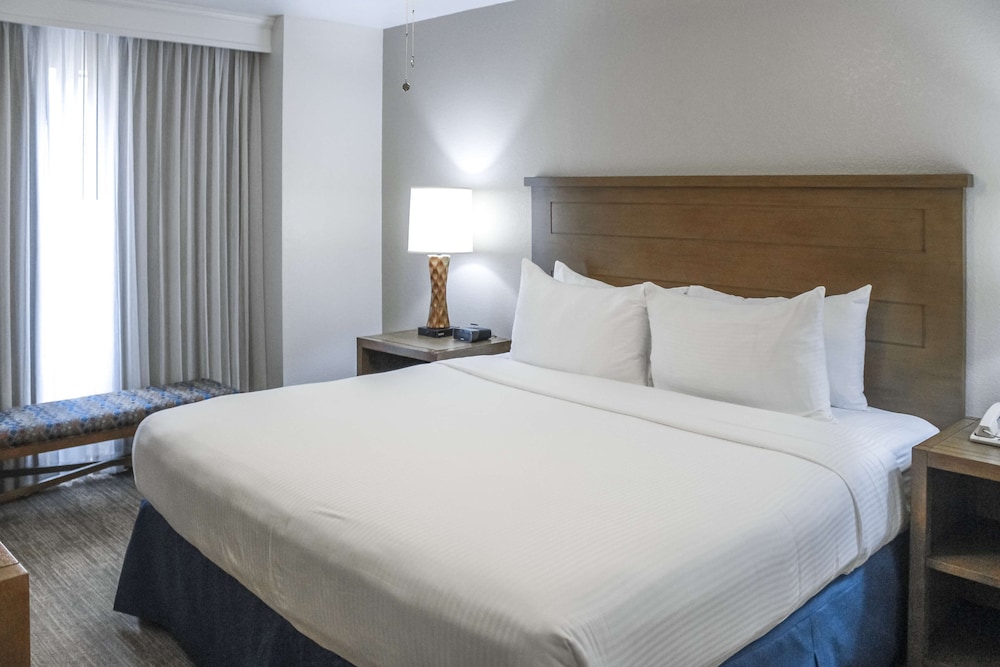 Room, 1 King Bed, Accessible (Mobility & Hearing, Roll-in Shower) - Photo 3